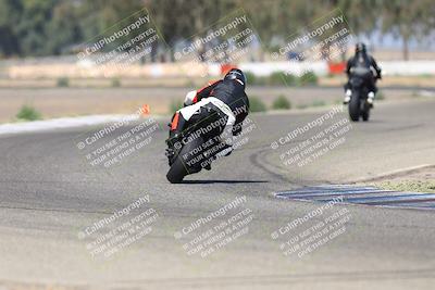 media/Sep-07-2025-Pacific Track Time (Sun) [[a6322260b9]]/C Group/Wheelie Bump/